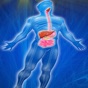 Digestive System Trivia app download