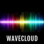 WaveCloud App Contact