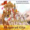 Shrimad Bhagavad Gita English problems & troubleshooting and solutions