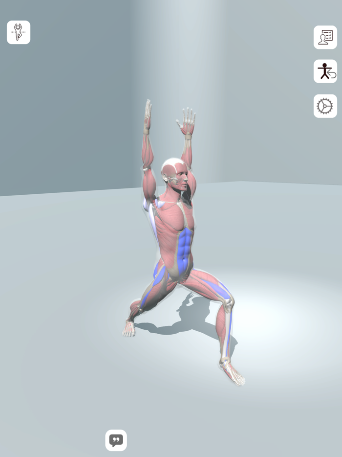 3D Yoga - Yoga Anatomy