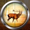 Deer Hunting：hunter shot games icon