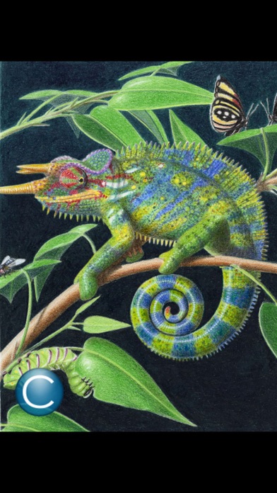 ABC Dino Xenegugeli Français Screenshot