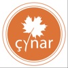 Çynar icon