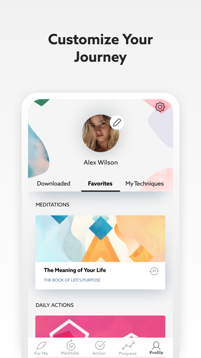 DreamWise® by Colette Falchet Screenshot