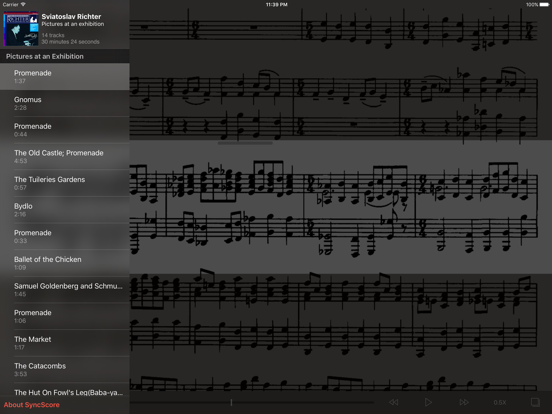 Screenshot #5 pour Mussorgsky Pictures Exhibition