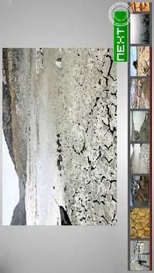 Ecosystems are Interconnected screenshot 3