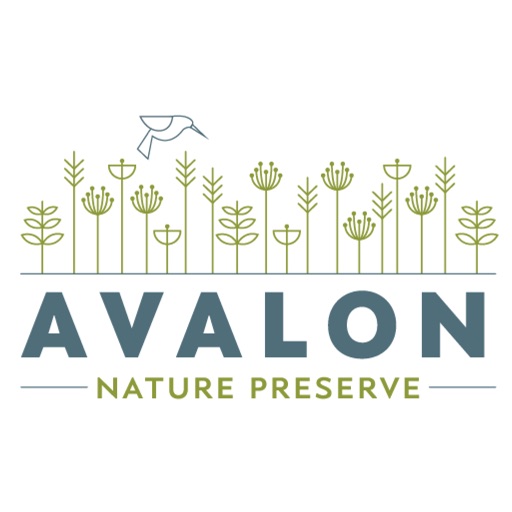 Avalon Nature Preserve by Paul Simons Foundation Inc