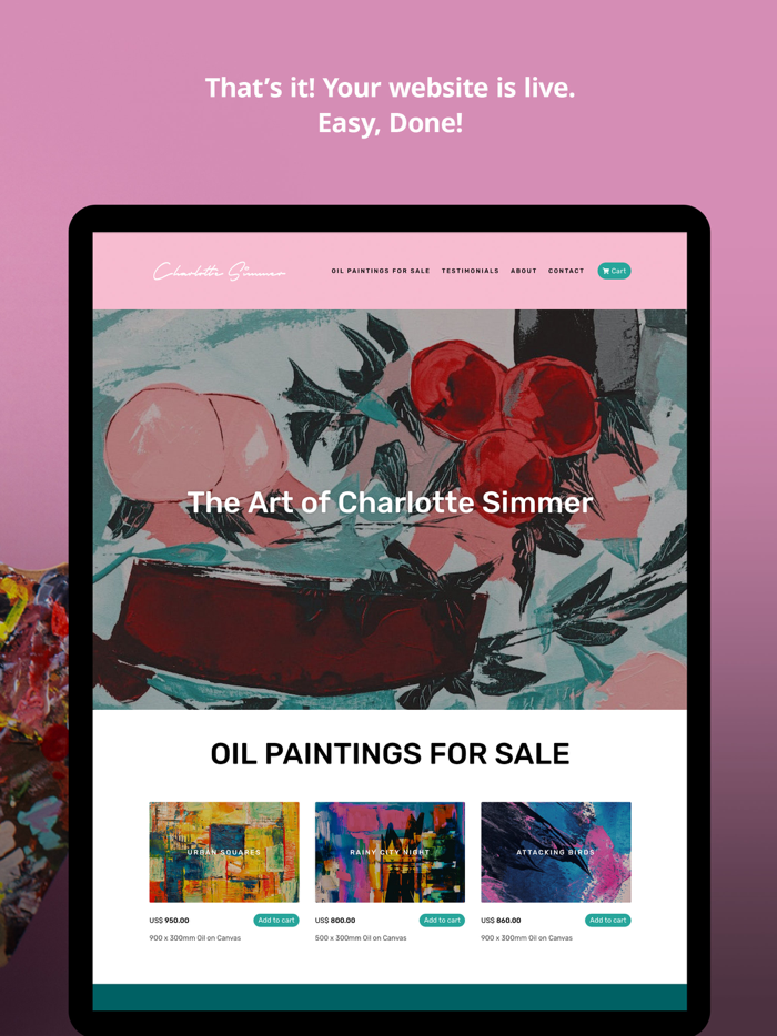 Shock Instant Websites