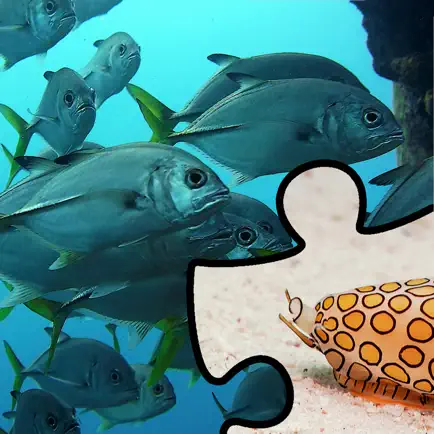 Aquatic School Edition Cheats