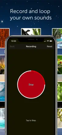 White Noise Proのスクリーンショット（3/6）