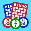 Bingo Caller contact information