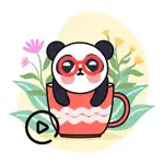 Panda & Cheerleaders Animated App Contact