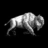 White Buffalo Yoga icon