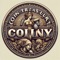 A coin collection management tool that allows users to add images of coins, names, countries, and issuance years