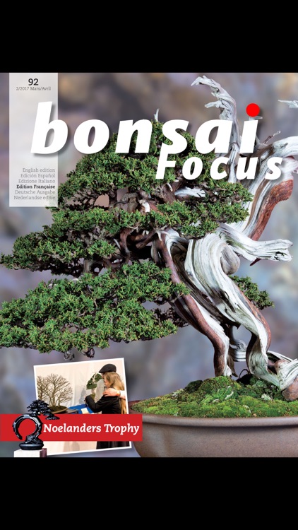 Bonsai Focus FR