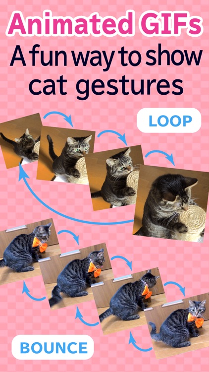 toruneko (KittyCam) screenshot-8