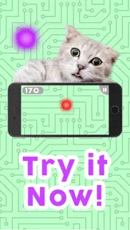 games for cats! iphone screenshot 4