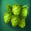 Calculate Alcohol by Volume - iPadアプリ