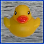 Duck Invader App Support