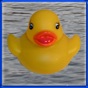 Duck Invader app download