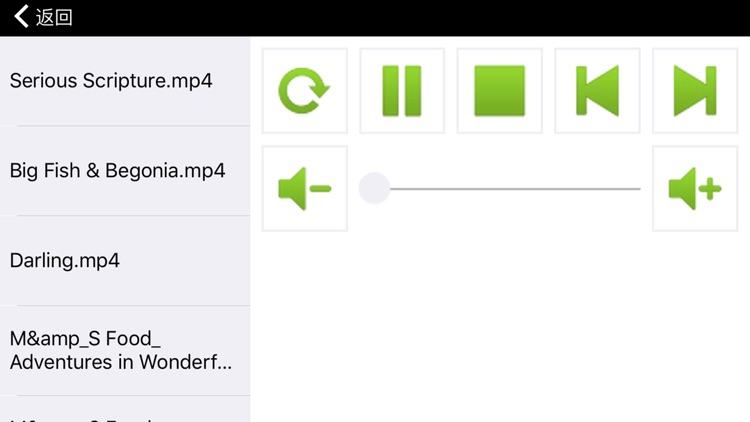 LED Video screenshot-4