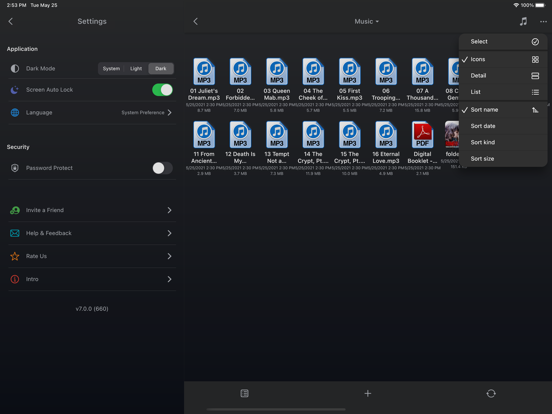 AirDisk: File Manager iPad screenshot 5 - Productivity app