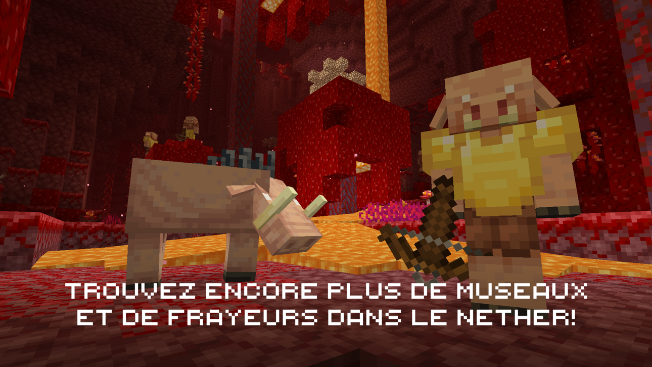 Minecraft screenshot 9 - iOS game interface