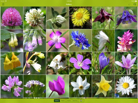 Wildflower Finder Switzerlandのおすすめ画像2