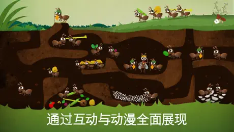 The Bugs I: Insects?