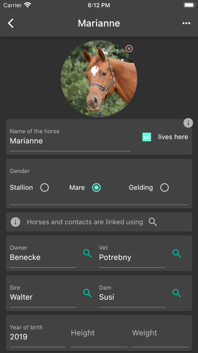 Horse Diary Screenshot
