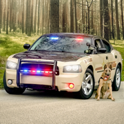Police Car Games Cop Simulator
