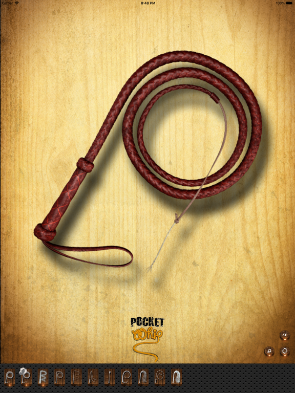 Screenshot #4 pour Pocket Whip