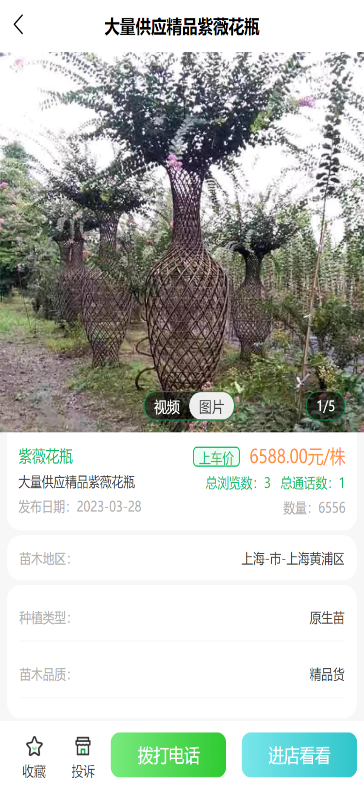 有师
