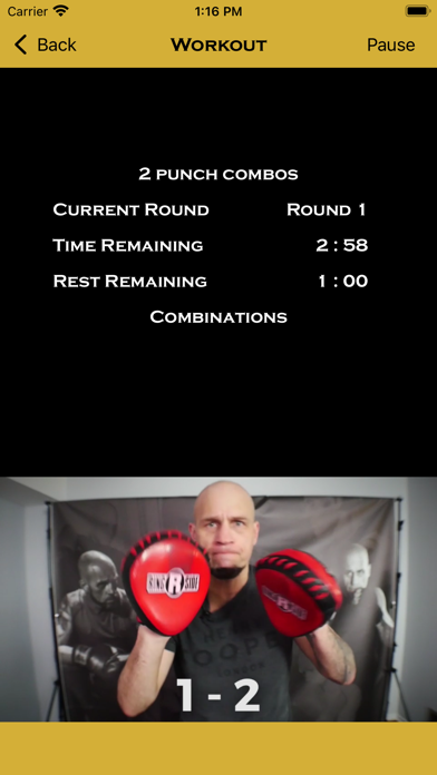 Precision Boxing Coach Pro Screenshot