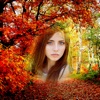 Fall in Love Photo Frames icon
