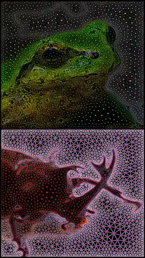 TriMeshImager screenshot 3