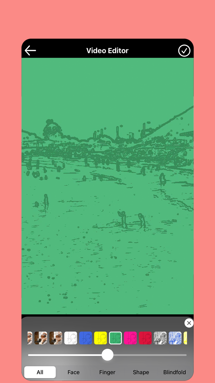 Blur Video and Mosaic