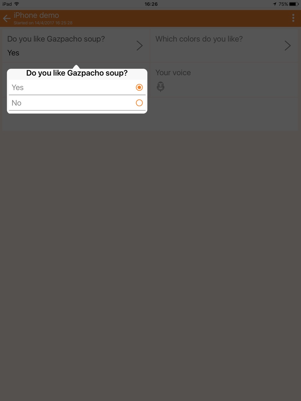 iPad screenshot