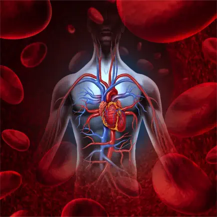 Anatomy : Circulatory System Cheats
