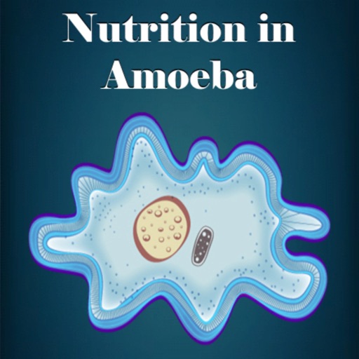Nutrition in Amoeba icon