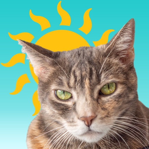 Sunkitty - AppWisp.com
