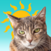 Sunkitty