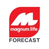 Magnum Life Forecast