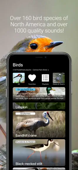 Game screenshot Birds of North America: Sounds mod apk