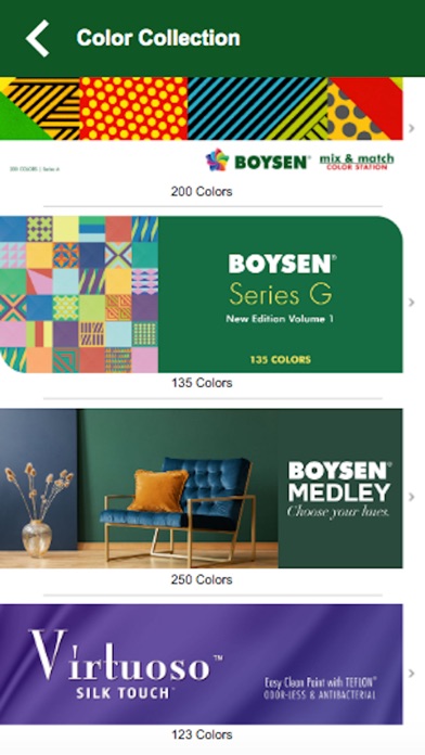 BOYSEN Screenshot