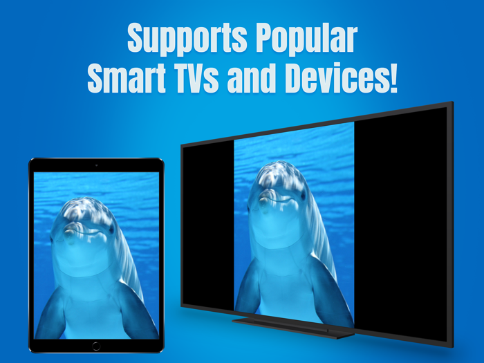 Screen Mirroring App - TV Cast