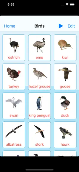 Game screenshot Birds Learning Cards apk
