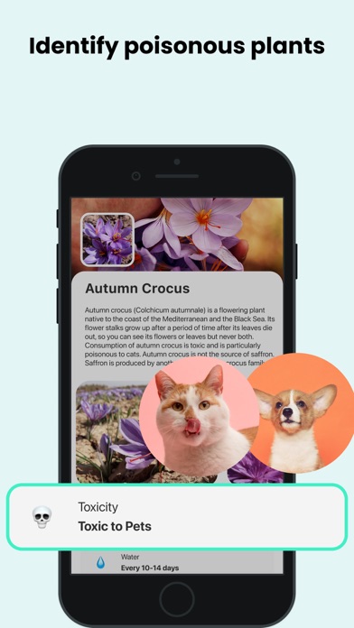 PlantCam: Plant Identifier Screenshot