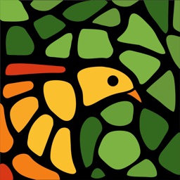 Smart Bird ID (Australia & NZ) icon