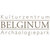 BelginumAR icon